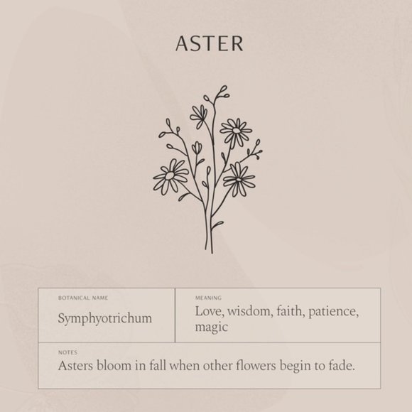 Aster September Birth Flower Charm Gift Necklace - Picture 6 of 16